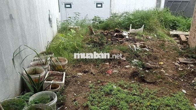 BÁN ĐẤT FULL THỔ CƯ 70M² – NỞ HẬU – THIÊN LỘC, ĐÔNG ANH –  HƠN 3 TỶ