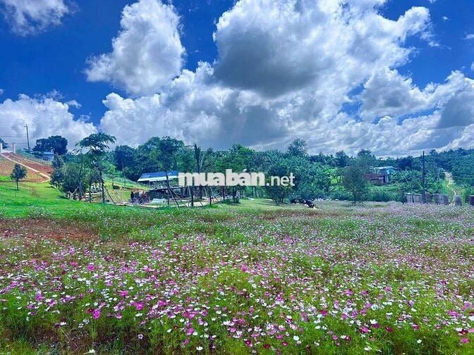 BÁN ĐẤT BIỆT THỰ NGHỈ DƯỠNG GIÁ CHỈ 890TR VIEW HỒ, Full thổ cư