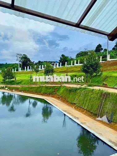 BÁN ĐẤT BIỆT THỰ NGHỈ DƯỠNG GIÁ CHỈ 890TR VIEW HỒ, Full thổ cư