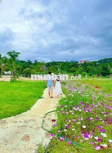 BÁN ĐẤT BIỆT THỰ NGHỈ DƯỠNG GIÁ CHỈ 890TR VIEW HỒ, Full thổ cư