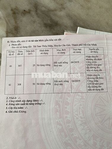 Bán 125m2 đất thổ cư có sẵn50m2 thổ mặt tiền đường TamThônHiệp,Cần Giờ