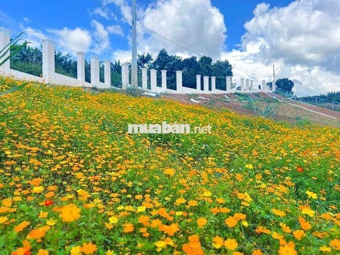 BÁN ĐẤT BIỆT THỰ NGHỈ DƯỠNG GIÁ CHỈ 890TR VIEW HỒ, Full thổ cư