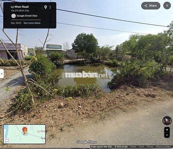 Bán đất trồng lúa nước đi ra đường Rừng Sác (290m2)