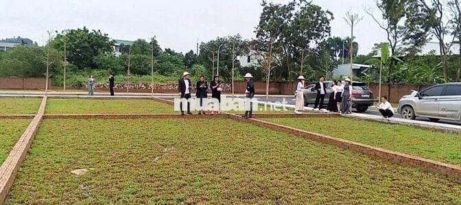 Đất Đẹp Trung Tâm Hòa Lạc – 100m²/Lô, Sổ Đỏ Sẵn Giá Đầu Tư