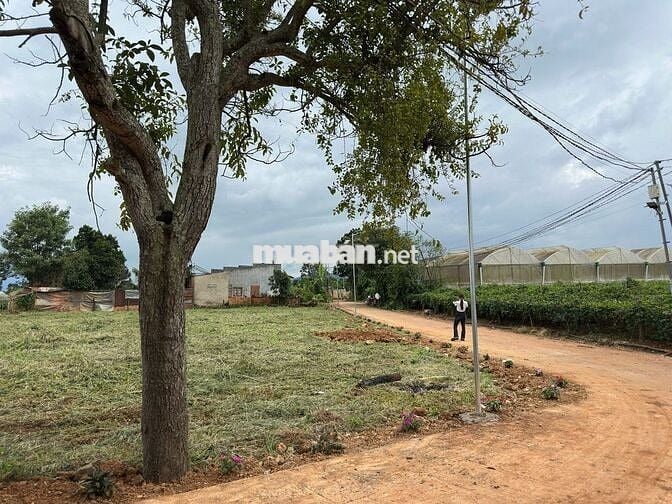 LÔ ĐẤT NGAY TT CÁCH QL 27 CHỈ 600M– HẠ TẦNG HOÀN THIỆN, ĐƯỜNG Ô TÔ