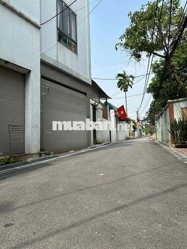 ĐÓN ĐẦU DỰ ÁN THÀNH PHỐ THÔNG MINH CÔNG VIÊN KIM QUY- Ô TÔ 7 CHỖ ĐỖ CỬ