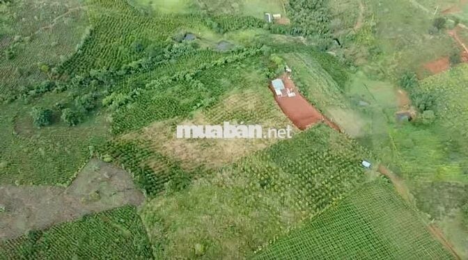 Đất Ven Đồi Đẹp Nhất Bảo Lâm - View Núi , Săn Mây