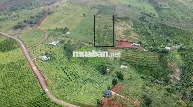 Đất Ven Đồi Đẹp Nhất Bảo Lâm - View Núi , Săn Mây