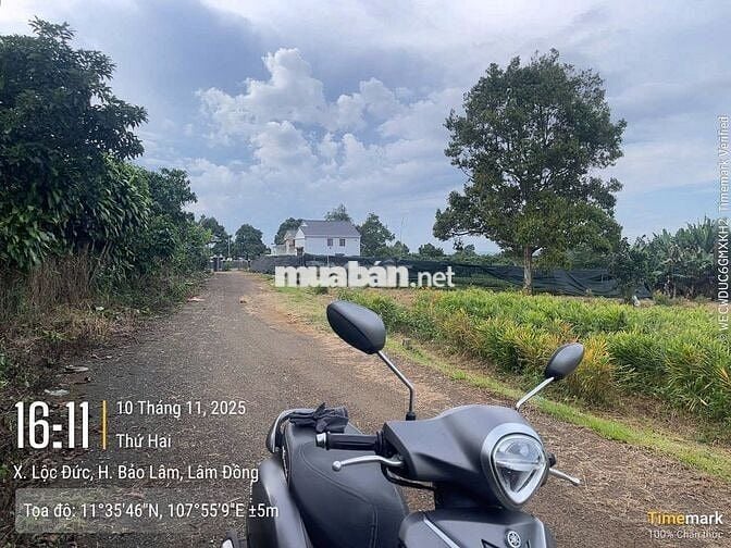 Đất ngay chợ Lộc Đức 225m2 (5mx41m) sẵn 100m thổ cư đất bằng view đẹp