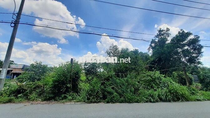 Bán đất mặt tiền đường Tam Thôn Hiệp, Cần Giờ, 700m2