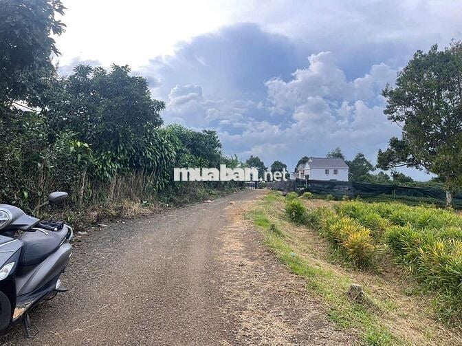 Đất ngay chợ Lộc Đức 225m2 (5mx41m) sẵn 100m thổ cư đất bằng view đẹp