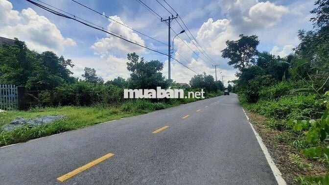 Bán đất mặt tiền đường Tam Thôn Hiệp, Cần Giờ, 700m2