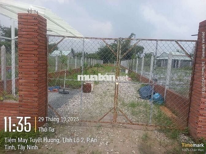 Đất siêu ngộp mua 1ty1 bán 819tr mua nhanh còn kịp Trảng Bàng Tây Ninh