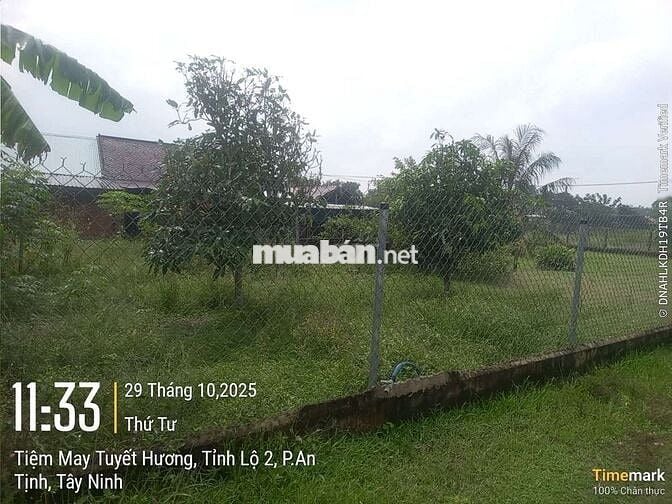 Đất siêu ngộp mua 1ty1 bán 819tr mua nhanh còn kịp Trảng Bàng Tây Ninh