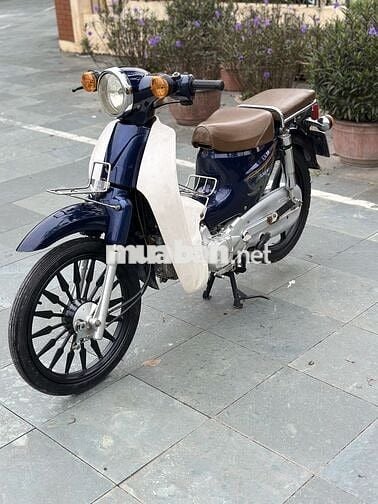 Cup 50cc biển hà nội