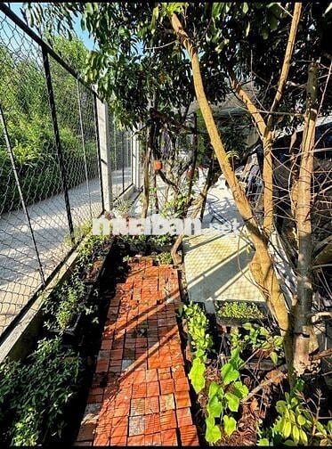 Bán nhà thổ cư, địa chỉ nhà trên sổ hồng, lộ ôtô (Tặng hết nội thất).