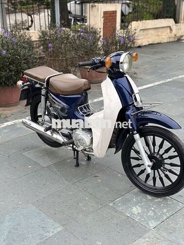 Cup 50cc biển hà nội