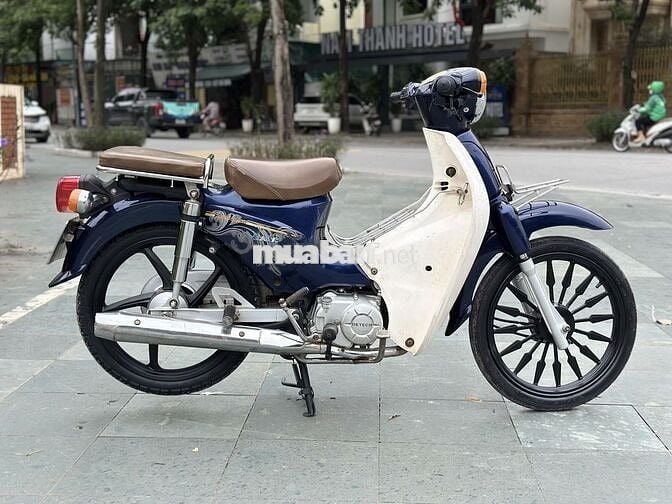 Cup 50cc biển hà nội