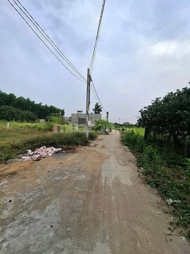 Cần bán 115m2 đất sổ riêng thổ cư tại phường Tân Triều, giá chỉ 850tr