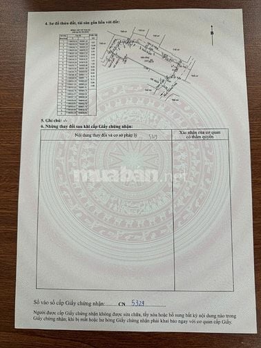 Bán đất trống 3 mặt tiền HXH đường Quang Trung, cách mặt tiền  QT 20m