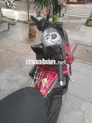 JOYRIDE FI  2012 Thành phố