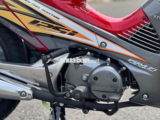 Neo Fi 2009 - 70 đầu Cọp cọp