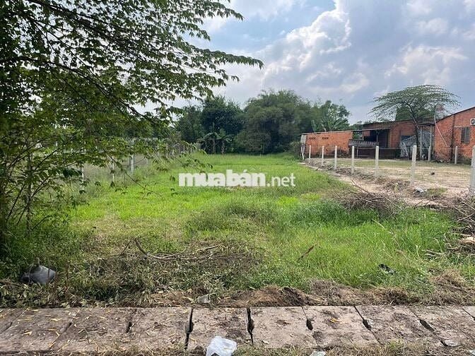 BÁN ĐẤT VƯỜN CÓ 200M2 THỔ CƯ - CÂY TRÔM MỸ KHÁNH - SHR