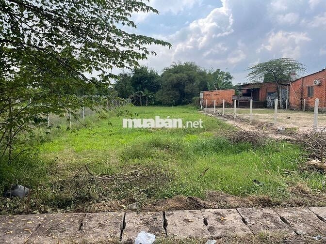 BÁN ĐẤT VƯỜN CÓ 200M2 THỔ CƯ - CÂY TRÔM MỸ KHÁNH - SHR