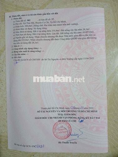 Chính chủ cần bán gấp lô đất thổ cư mặt tiền đường nhựa :