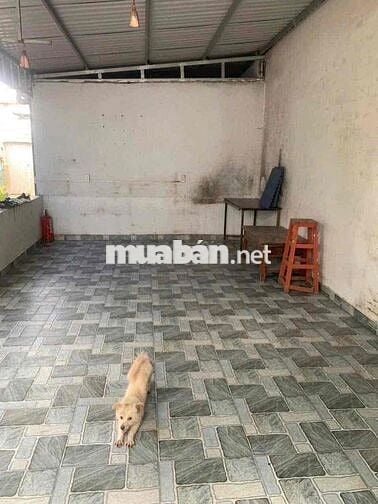 Cho thuê nhà 3PN & kho chứa hàng 255m2, phường Trảng Dài.