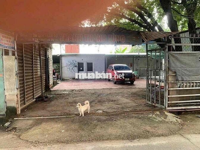 Cho thuê nhà 3PN & kho chứa hàng 255m2, phường Trảng Dài.