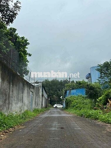 2 LÔ LIỀN KỀ KOTAM HẺM CẤP 1 QL26 CÁCH QL CHỈ 50M