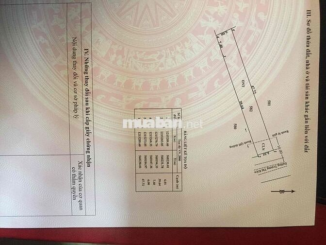 Chính chủ cần bán gấp lô đất thổ cư mặt tiền đường nhựa :