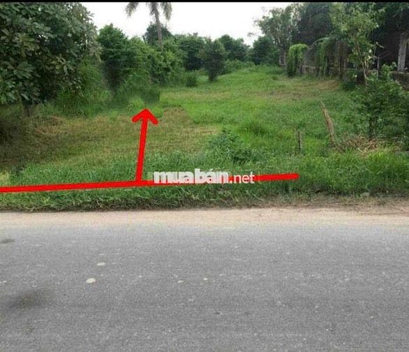Chính chủ cần bán gấp lô đất thổ cư mặt tiền đường nhựa :