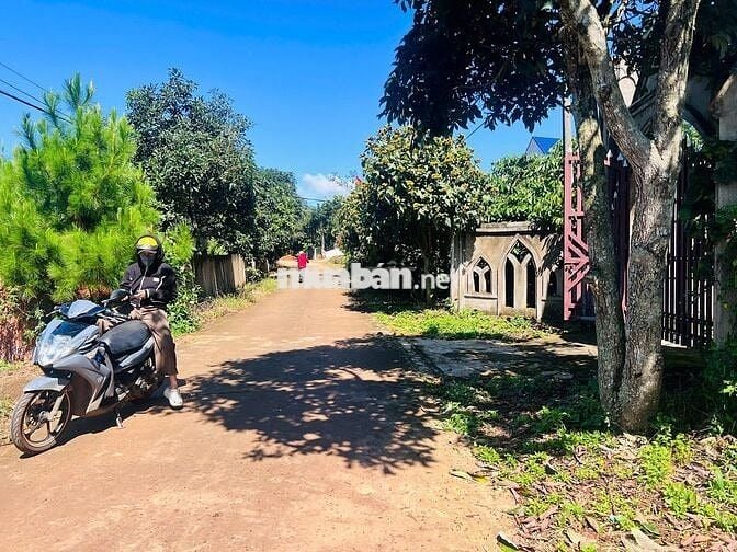 BÁN GẤP LÔ ĐẤT CÓ THỂ TÁCH ĐÔI, NGANG 26m, DT 772m2, 200m2 THỔ CƯ