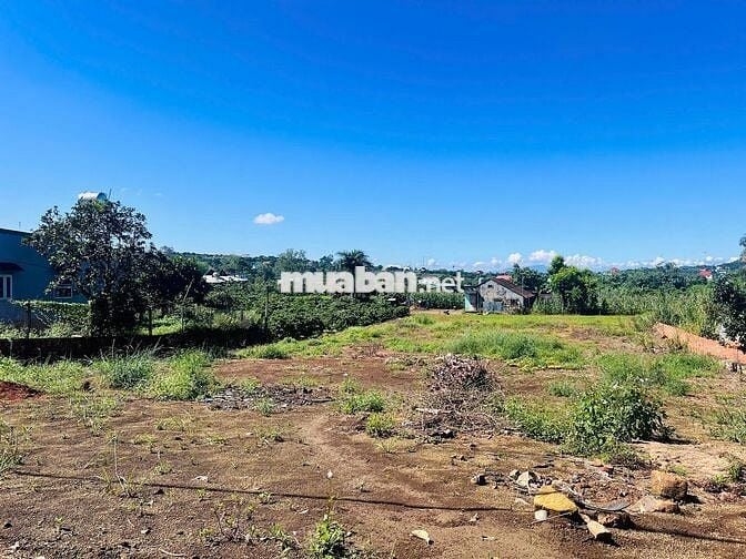 BÁN GẤP LÔ ĐẤT CÓ THỂ TÁCH ĐÔI, NGANG 26m, DT 772m2, 200m2 THỔ CƯ