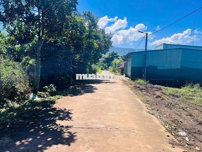 BÁN GẤP LÔ ĐẤT CÓ THỂ TÁCH ĐÔI, NGANG 26m, DT 772m2, 200m2 THỔ CƯ