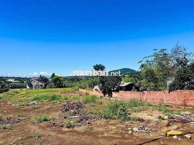 BÁN GẤP LÔ ĐẤT CÓ THỂ TÁCH ĐÔI, NGANG 26m, DT 772m2, 200m2 THỔ CƯ