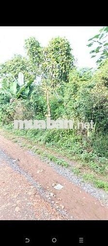 Lốc 10 lô liền kề full thổ cư trục chính sân bóng Tara