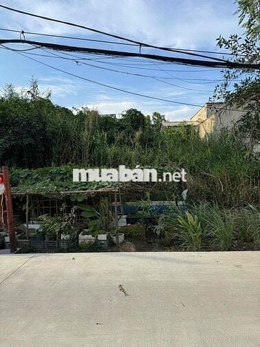 Chính chủ bán đất mặt tiền hẻm 154 Nguyễn Văn Tạo trục chính, Nhà Bè