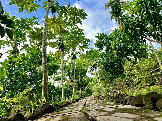 Cơ hội sở hữu mảnh đất vườn nghỉ dưỡng tại vị trí độc đáo giá rẻ