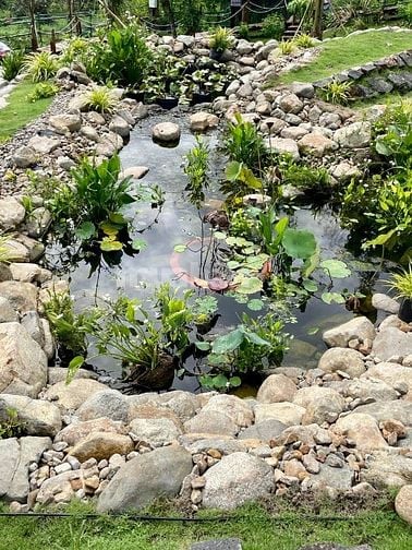 Cơ hội sở hữu mảnh đất vườn nghỉ dưỡng tại vị trí độc đáo giá rẻ