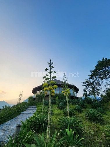 Cơ hội sở hữu mảnh đất vườn nghỉ dưỡng tại vị trí độc đáo giá rẻ