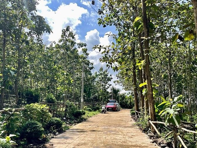 Cơ hội sở hữu mảnh đất vườn nghỉ dưỡng tại vị trí độc đáo giá rẻ