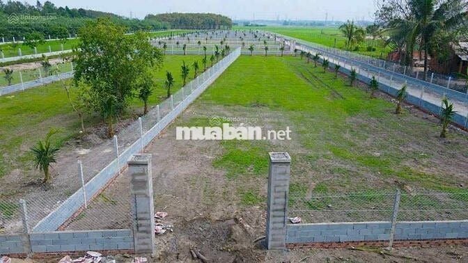 ĐẤT NHÀ VƯỜN 1500M2 ĐẸP NHƯ RESORT TRUNG TÂM THỊ TRẤN GÒ DẦU TÂY NINH