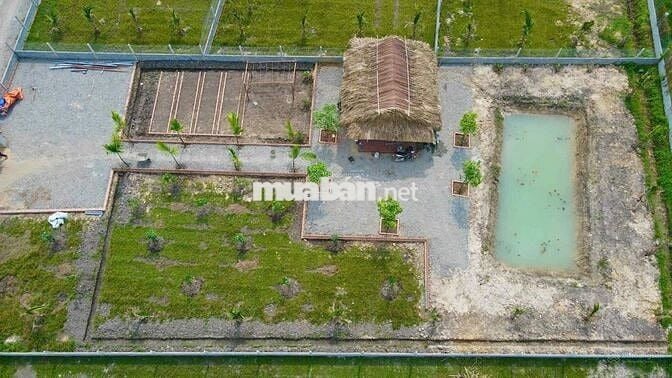 ĐẤT NHÀ VƯỜN 1500M2 ĐẸP NHƯ RESORT TRUNG TÂM THỊ TRẤN GÒ DẦU TÂY NINH