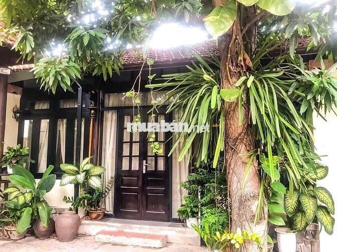 Chính chủ đăng bán đất kiệt 6m Hoài Thanh, khán đài pháo hoa