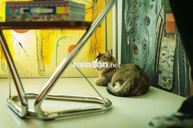 Nam ở ghép nhà phố đủ tiện nghi an ninh chính chủ