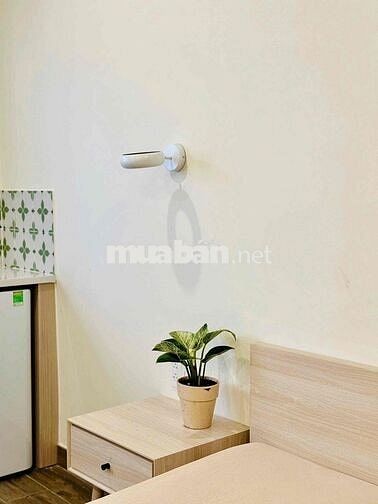 Cho Thuê Phòng Gần Công Viên Lê Văn Tăm Quận 1, Cầu Bông
