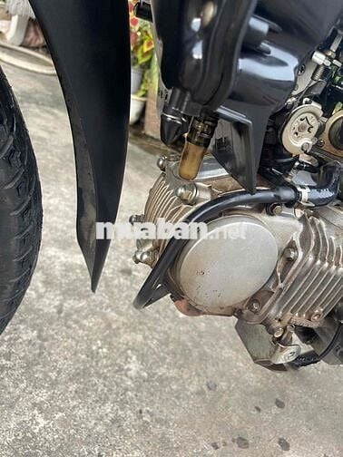 cần bán fu neo fi cọp chất